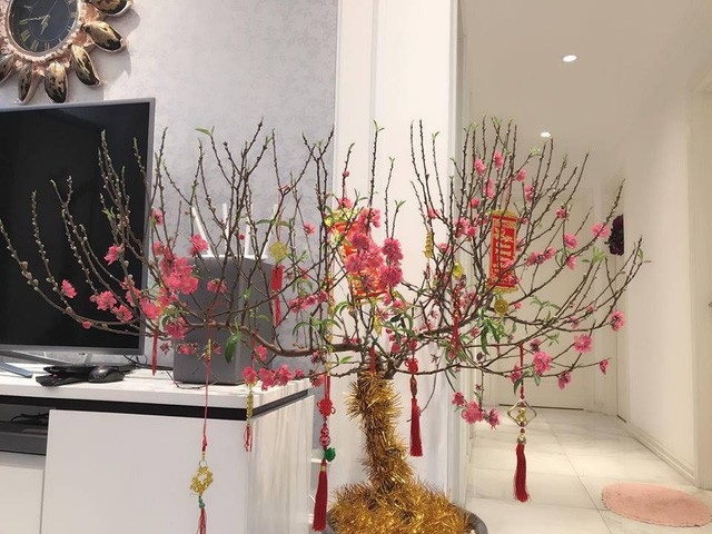 Ngắm nhà “triệu đô” của sao Việt lung linh trong những ngày Tết - 20
Nhà của cô nàng Phương Oanh của phim Ngược chiều nước mắt cũng sang trọng và lịch sự không thua kém nhà của các đàn chị.