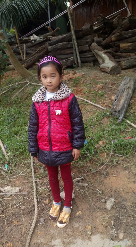 Bố bị gỗ đè chết, mẹ bỏ đi, bé lớp 2 sống trong khốn khó - 2
Bố bị gỗ đè chết, mẹ lại bỏ đi, cuộc sống của bé Tuyết Ngân đầy khó khăn bên ông bà nội đã già yếu