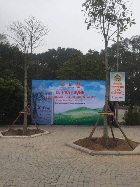 60.000 cây xanh được trồng sau lễ phát động Tết trồng cây ở Bắc Ninh - 4 Những cái cây xnah tươi được trồng sau lễ phát động Tết trồng cây