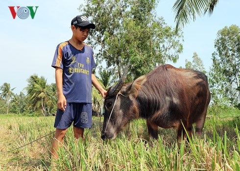 Chuyện chưa kể về 3 cậu bé nghèo ở Sóc Trăng nhặt được 40 triệu đồng - 3 Hơn nữa, gia cảnh các em gặp nhiều khó khăn nhưng không tư lợi riêng.