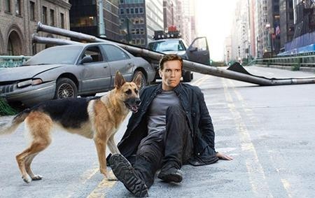 Khi các sao từ “nguyện vọng hai” lại tỏa sáng rực rỡ - 4 Ban đầu, bộ phim “I am legend” dự định ra mắt từ giữa những năm 1990. Các nhà sản xuất đã nhắm tới nhiều cái tên như Tom Cruise, Michael Douglas, Mel Gibson và cuối cùng chọn lựa Arnold Schwarzenegger. Tuy nhiên, dự án phim lại bất ngờ bị tạm hoãn và phải đến năm 2002 mới được tái khởi động. Khi ấy, Will Smith đã được lựa chọn lại làm nam chính.