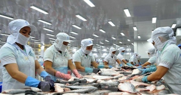 Nhận diện thách thức với hàng thủy sản xuất khẩu của Việt Nam vào Mỹ - 1 Nhận diện thách thức với hàng thủy sản xuất khẩu của Việt Nam vào Mỹ - 1