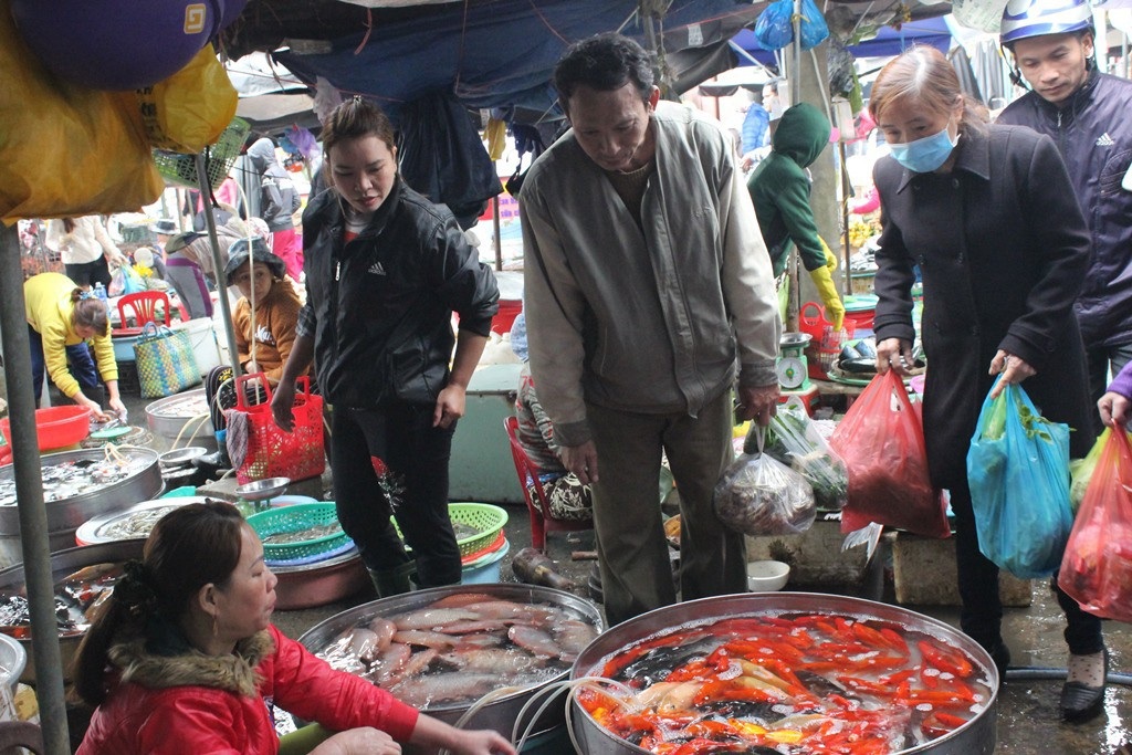 Cá chép cúng ông Công ông Táo được giá, người buôn lãi đậm - 5
Cá chép vàng phóng sinh rất được nhiều người lựa chọn