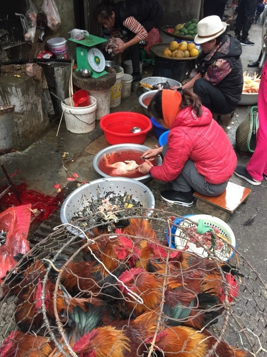 Sáng sớm hàng đã hết veo, mặc giá cả tăng ngày ông Công ông Táo về trời - 5 Giá gà tăng mạnh nhất