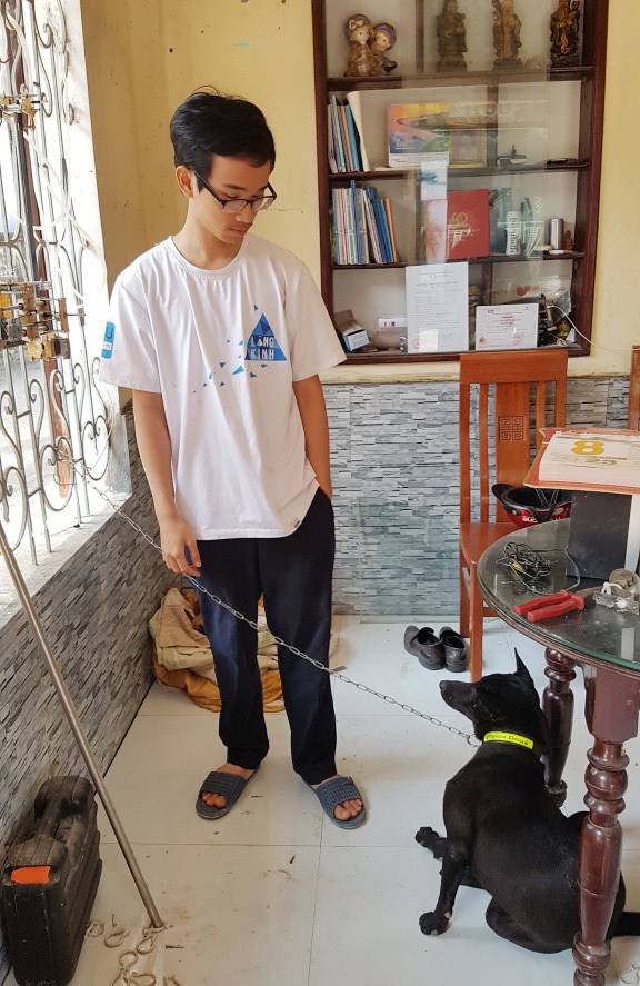 Huế: Chú chó lạc nhà, tìm đến trường cậu chủ học ngồi chờ! - 2 Chú chó Phú Quốc lai rất khôn đã tìm được đường về bằng cách tới trường em Thiện chờ đợi