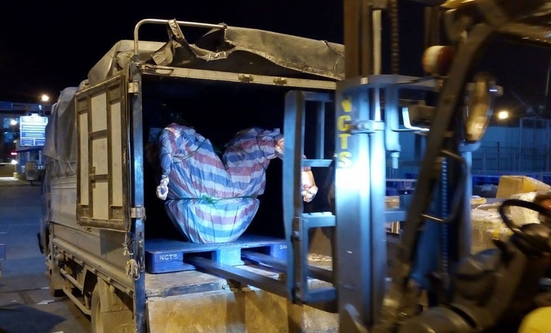 Phi vụ "có 1 không 2": Áp tải 500 triệu đồng địa lan cho đại gia Sài thành - 2
Sau khi chốt mua, đại gia thực hiện phi vụ vận chuyển 3 chậu lan Trần Mộng vào Sài Gòn ngay sau một ngày với chi phí vận chuyển lên tới 50 triệu đồng