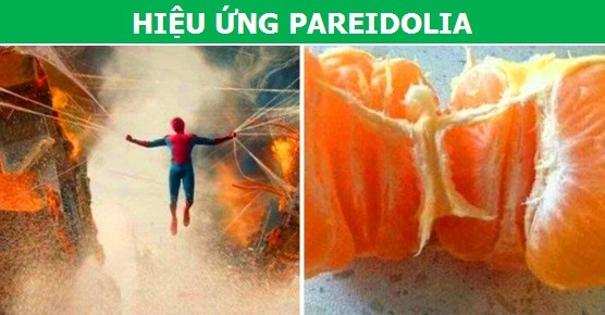 Khám phá những hiệu ứng tâm lý đặc biệt ở con người (P2) - 3 Khám phá những hiệu ứng tâm lý đặc biệt ở con người (P2) - 3