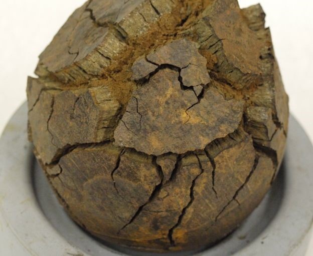 Dùng tia X để bảo vệ đạn súng thần công trên tàu Mary Rose - 2
Đạn súng thần công bị nứt và ăn mòn nếu tiếp xúc với không khí - Ảnh từ The Mary Rose Trust.