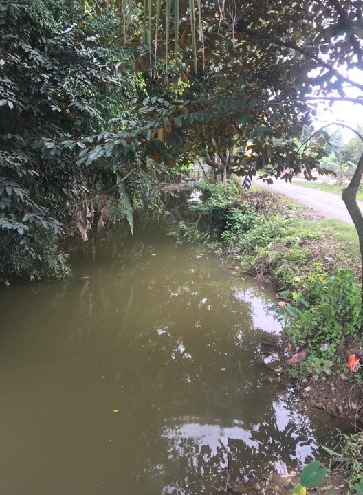 Hai trẻ nhỏ chết đuối thương tâm dưới mương nước - 1 Khu vực phát hiện 2 cháu bé chết đuối thương tâm (ảnh CTV)