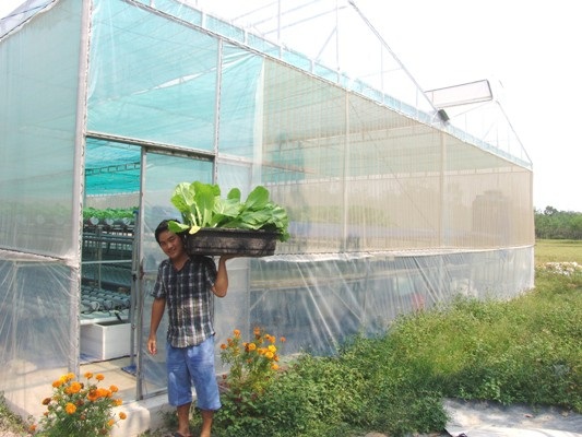 Lạ mắt vườn rau 2 tầng, có nhõn 360m2 nhưng thu tới 2 tấn rau/tháng - 1
Trên vùng đất khô cằn trồng manh mún các loại nông sản, khoảng năm nay mọc lên trang trại rau thủy canh đẹp lạ lùng. Nông nghiệp công nghệ cao đã len lỏi tận vùng quê TP.