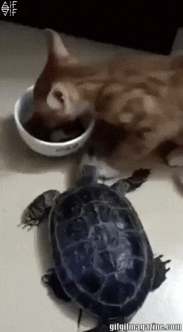 Một sự bất lực khi bị “đè đầu cưỡi cổ”