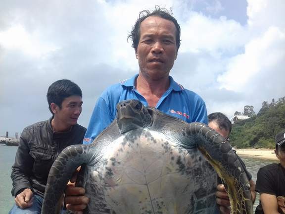 Thả một cá thể rùa 25kg về đại dương - 2 Ông Sâm tự tay thả con rùa 25kg về đại dương