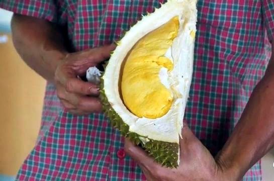 Sự thật về sầu riêng không mùi ‘thối’ khiến thị trường xôn xao - 2
Tuy nhiên, sầu riêng không mùi đã xuất hiện tại Thái Lan. Ảnh baijiahao.baidu.com