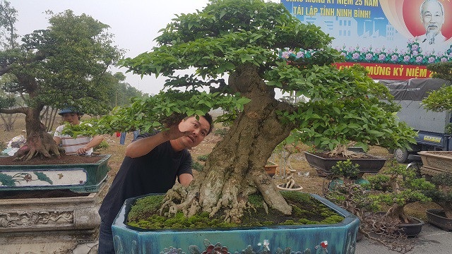 Chiêm ngưỡng cây mai chiếu thuỷ giá 350 triệu đồng lần đầu xuất hiện trên thị trường - 4
“Đây là một cây cảnh nghệ thuật vì nó sở hữu 4 yếu tố là: cổ, kì, mỹ, văn. Để có được một tác phẩm nghệ thuật này tôi đã mất rất nhiều tâm huyết và công sức mới sáng tạo ra được anh Toản tâm sự.