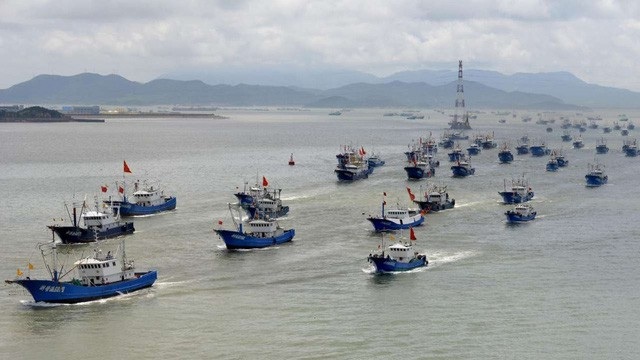 Tàu cá Trung Quốc ồ ạt ra khơi đánh bắt (ảnh: SCMP)