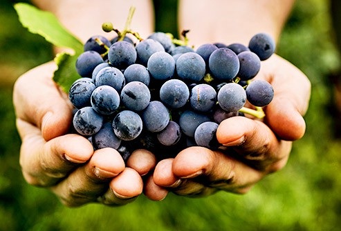 Những loại trái cây chứa nhiều và ít đường nhất - 2 Những loại trái cây chứa nhiều và ít đường nhất - 2