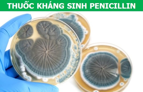 Tìm hiểu về những loại thuốc làm thay đổi lịch sử nhân loại - 3 Tìm hiểu về những loại thuốc làm thay đổi lịch sử nhân loại - 3