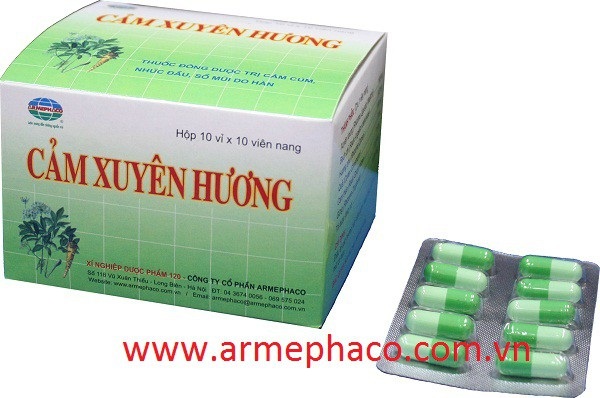 Đình chỉ lưu hành viên nang Cảm xuyên hương - 1 Đình chỉ lưu hành viên nang Cảm xuyên hương - 1