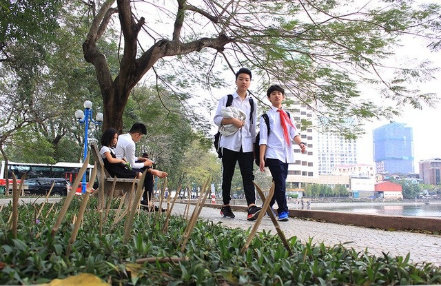 Lễ tang bình dị nguyên Thủ tướng và bàn tay run run người mẹ liệt sĩ Gạc Ma - 9 Những thanh tre, nứa được vót nhọn, cắm chi chít tại vườn hoa trong khu vực hồ Giảng Võ (Ba Đình, Hà Nội)... (Ảnh: Trần Thanh)