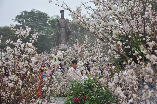 “Đảm bảo lễ hội văn hóa Nhật Bản không mang tính thương mại” - 1 Lễ hội hoa anh đào Nhật Bản năm 2017 tại Hà Nội (Ảnh: Trần Văn- Thu Thúy).