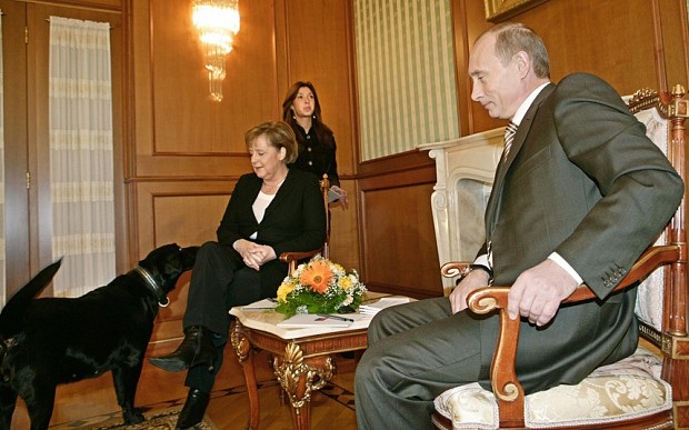 Những điều thú vị về Tổng thống Putin - 7
Tổng thống Nga đặc biệt yêu thích những chú chó. Ông thậm chí mang theo chó cưng của mình tới các cuộc tiếp đón nguyên thủ nước ngoài, trong đó có Thủ tướng Đức Angela Merkel. (Ảnh: AFP)