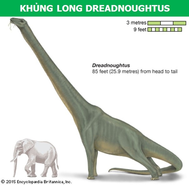 Ngỡ ngàng với kích thước của những loài khủng long lớn nhất từng tồn tại - 1 Ngỡ ngàng với kích thước của những loài khủng long lớn nhất từng tồn tại - 1