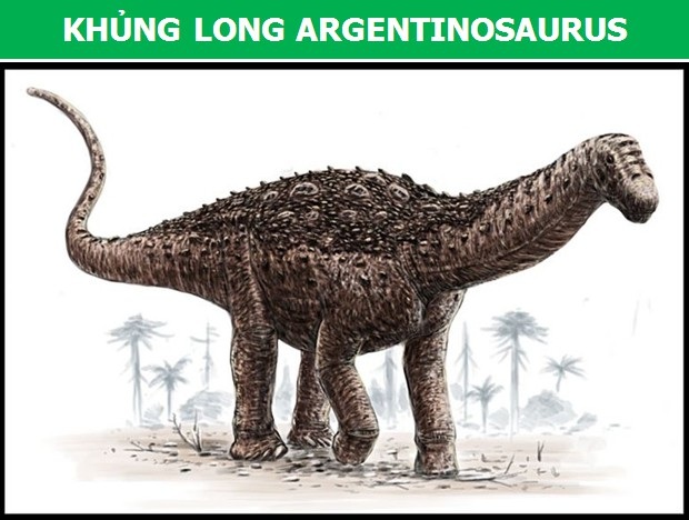 Ngỡ ngàng với kích thước của những loài khủng long lớn nhất từng tồn tại - 3 Ngỡ ngàng với kích thước của những loài khủng long lớn nhất từng tồn tại - 3