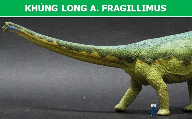 Ngỡ ngàng với kích thước của những loài khủng long lớn nhất từng tồn tại - 5 Ngỡ ngàng với kích thước của những loài khủng long lớn nhất từng tồn tại - 5