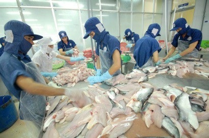 Cá tra Việt Nam bị áp thuế cao kỷ lục tại Mỹ: Xem xét khiếu kiện vì sự áp đặt vô lý - 1 VASEP cho biết đang xem xét tiến hành các thủ tục pháp lý cần thiết để khiếu kiện lên Tòa án Thương mại Quốc tế Hoa Kỳ (CIT) trong thời gian sớm nhất để bảo đảm quyền lợi cho các doanh nghiệp Việt Nam.