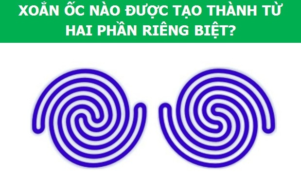 Những câu hỏi IQ giúp bạn rèn luyện trí não và thị giác - 7 Những câu hỏi IQ giúp bạn rèn luyện trí não và thị giác - 7