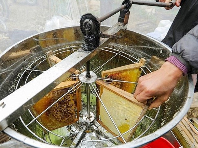 Kiếm cả triệu/ngày từ làm “phụ kiện” nuôi ong - 3 Chiếc thùng quay mật ong nhìn đơn giản nhưng giúp người nông dân nuôi ong dễ dàng khai thác mật ong.