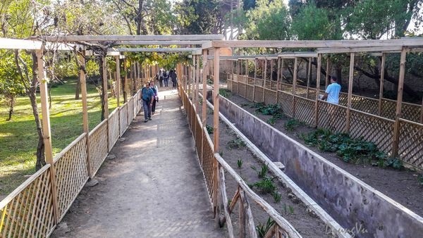 "Một nửa nước Ý" - Pompeii, thành phố hoa lệ một thủa - 8 "Một nửa nước Ý" - Pompeii, thành phố hoa lệ một thủa - 8