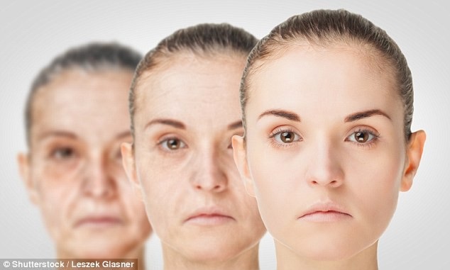 Giảm 15% calo, lợi đủ đường - 1 Giảm lượng calo có thể giúp giảm stress oxy hóa gây ra lão hóa và các bệnh tuổi già