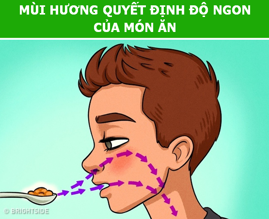 Những tác động ít ai ngờ của mùi hương lên bộ não con người - 1