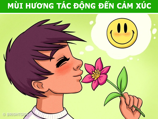 Những tác động ít ai ngờ của mùi hương lên bộ não con người - 4