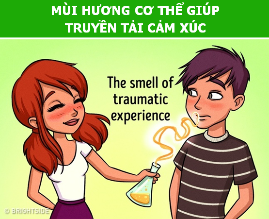 Những tác động ít ai ngờ của mùi hương lên bộ não con người - 5