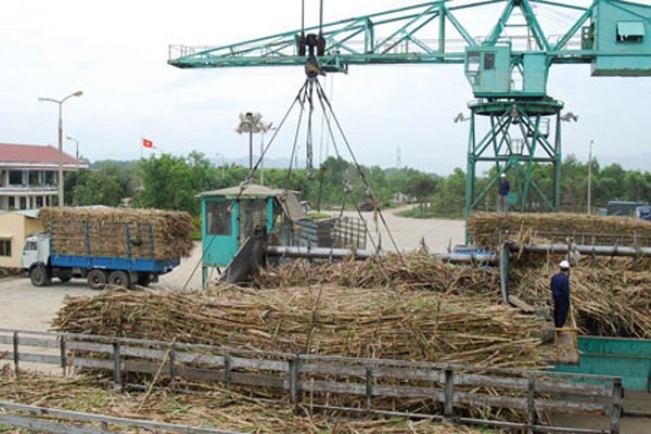 "Hội nhập" sẽ khiến 22 nhà máy đường thua lỗ, phá sản, thiệt hại 10.000 tỷ đồng - 1
Ngành mía đường trở lên rất khó khăn do hội nhập. Ảnh: Công Thương