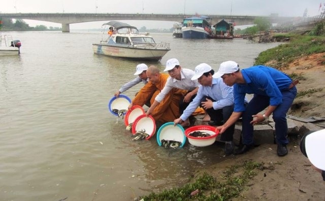 Thả 1 tấn cá giống xuống sông, 5 vạn tôm giống xuống biển - 1 1 tấn cá giống đã được Sở NN&PTNN tỉnh Thanh Hóa phối hợp với UBND TP Thanh Hóa thả xuống sông Mã
