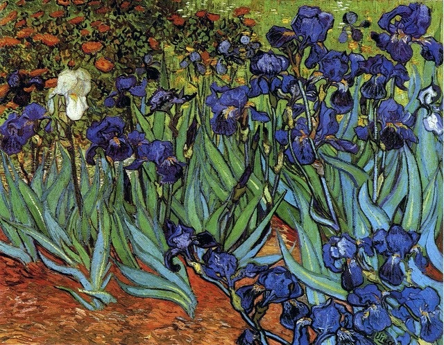 
10 - “Irises” (Hoa diên vĩ - 1889) của danh họa người Hà Lan Vincent van Gogh. Bức tranh từng được mua hồi năm 1987 với mức giá 53,9 triệu USD, giờ đây, con số ấy tương đương với 113,6 triệu USD (2.581 tỷ đồng).
