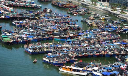 Tàu cá Trung Quốc lộng hành (*): Lật mặt nạ dân quân biển - 1
Hạm đội tàu cá Trung Quốc tại cảng Chu San, tỉnh Chiết Giang Ảnh: THE NEW YORK TIMES