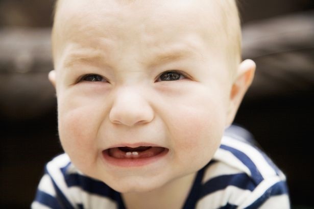 
Bé nên được đưa đến bác sĩ nha khoa ngay sau khi mọc chiếc răng đầu tiên.
