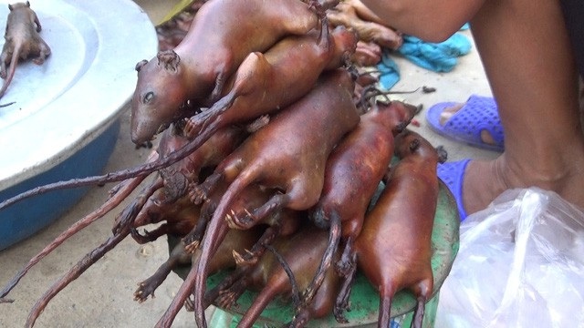 4 món ăn trông thì “ghê” nhưng ngon trứ danh ở Việt Nam - 6
thịt chuột đồng có vị béo, ngọt thơm ngon, vị thịt dai mềm và có hương vị đặc trưng khó lẫn.