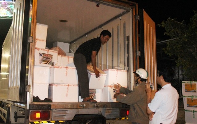 Lực lượng chức năng đang tiến hành kiểm tra một xe tải vận chuyển tôm giống.