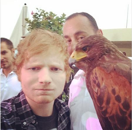 Fan của Ed Sheeran hóa ra còn có cả chim chóc