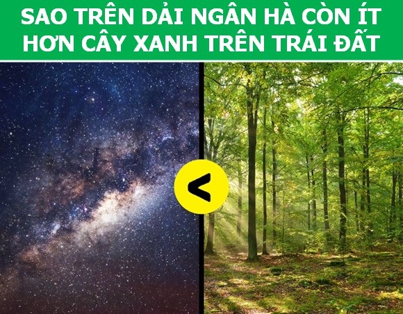 Những thống kê thú vị về thế giới nơi ta đang sống - 2 Những thống kê thú vị về thế giới nơi ta đang sống - 2