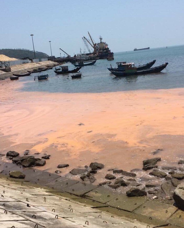 Dải nước màu đỏ dọc bờ biển Quảng Bình là hiện tượng “tảo nở hoa” - 1 Hiện tượng dải nước màu đỏ xuất hiện tại cảng Hòn La sáng ngày 10/4