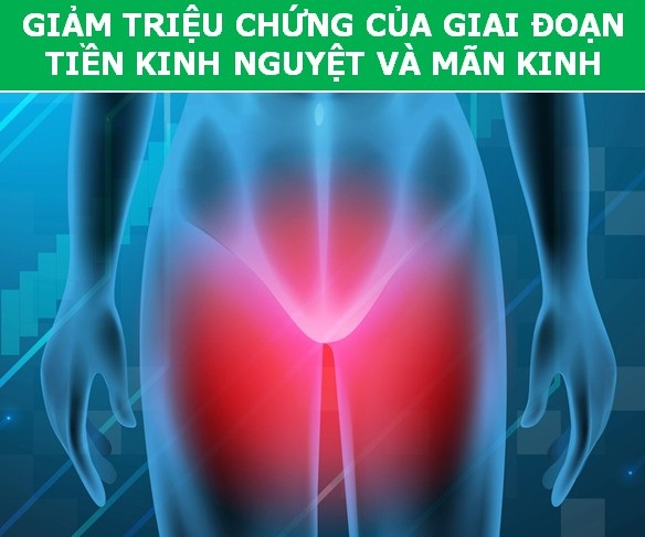 “Chữa bách bệnh” chỉ bằng vài động tác massage chân đơn giản hàng ngày - 2 “Chữa bách bệnh” chỉ bằng vài động tác massage chân đơn giản hàng ngày - 2