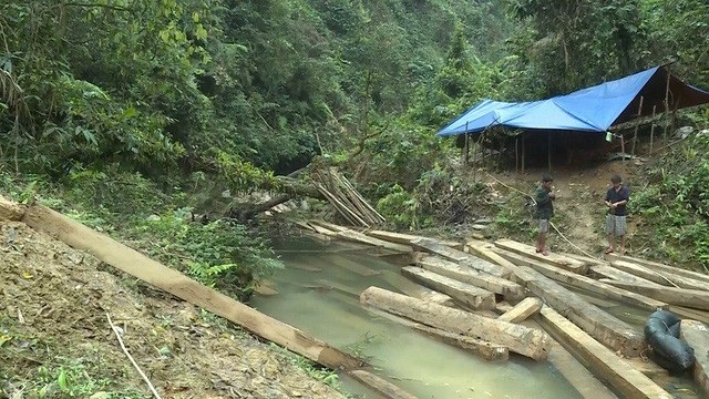 Khiển trách Phó Chủ tịch huyện vì để xảy ra vụ phá rừng nghiêm trọng - 1 Hiện trường vụ phá rừng phòng hộ nghiêm trọng ở huyện Tuyên Hoá, tỉnh Quảng Bình