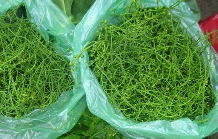 1kg hoa rau ngót rừng có giá dao động từ 150.000-250.000 đồng/kg, thậm chí có thời điểm lên tới 300.000 đồng/kg