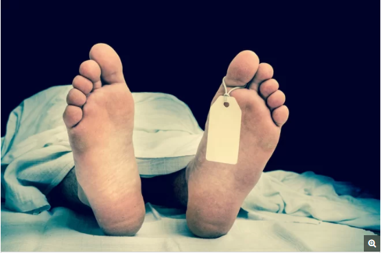 Vi khuẩn trên thi thể vẫn có ích cho sự sống - 1 Vi khuẩn trên thi thể vẫn có ích cho sự sống - 1